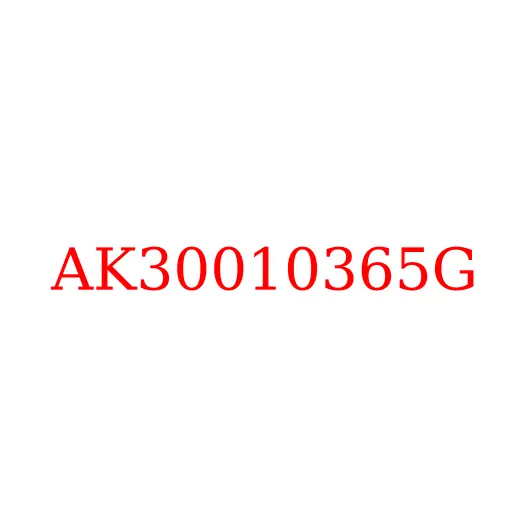 AK30010365G Втулка шкворня поворотного кулака (нижняя) JAC N350, AK30010365G