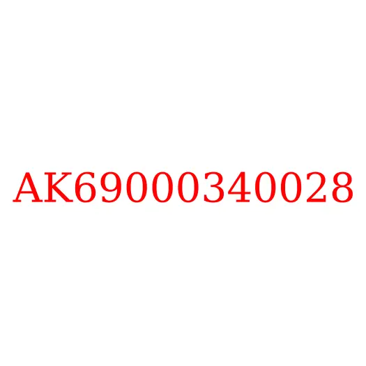 AK69000340028 Пружина задних тормозных колодок возвратная JAC N350, AK69000340028
