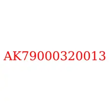 AK79000320013