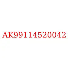 AK99114520042