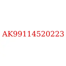 AK99114520223