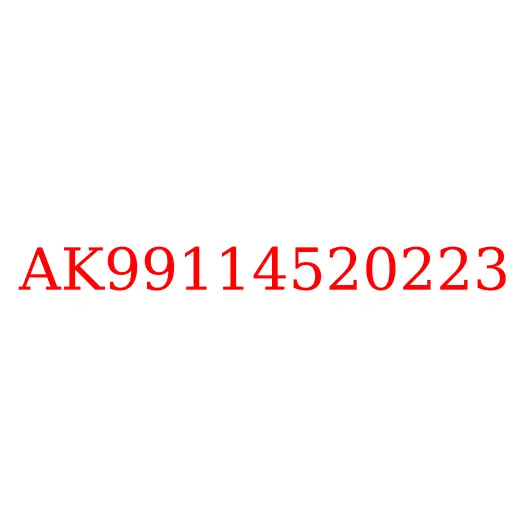 AK99114520223 Сальник балансира JAC N350, AK99114520223