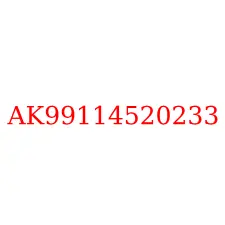 AK99114520233
