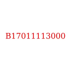 B17011113000
