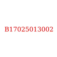 B17025013002