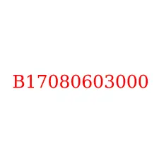 B17080603000