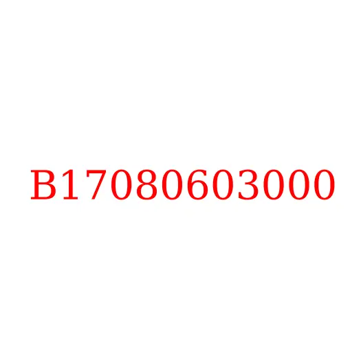 B17080603000 Синхронизатор 5/6 передачи КПП LC6T540B JAC N80/N90, B17080603000