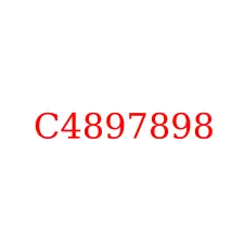 C4897898