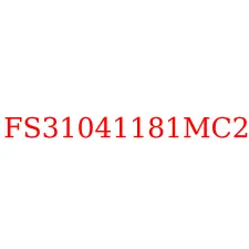 FS31041181MC2