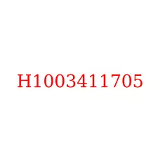 H1003411705