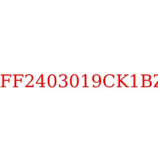HFF2403019CK1BZ2