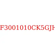 HFF3001010CK5GJHG1
