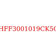 HFF3001019CK5G
