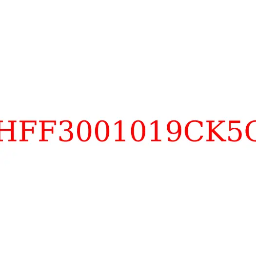 HFF3001019CK5G Кольцо уплотнительное поворотного кулака JAC N350, HFF3001019CK5G