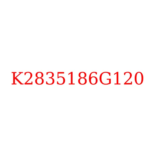 K2835186G120 Подшипник игольчатый КПП JAC N120 LE359, K2835186G120