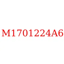 M1701224A6