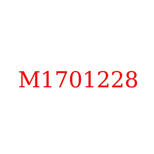 M1701228 Гайка фланца КПП JAC N80/N90, M1701228