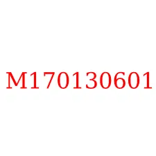 M170130601