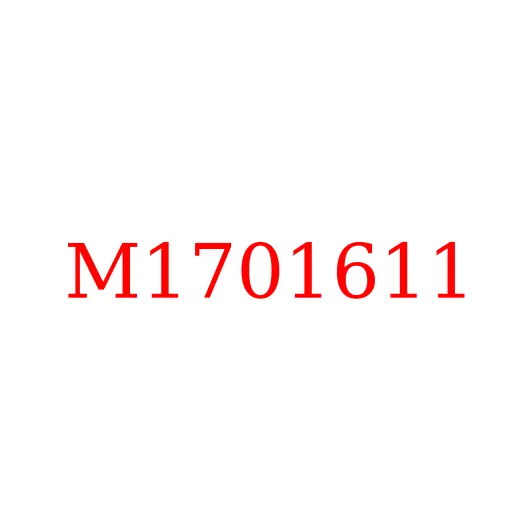 M1701611 Подшипник игольчатый шестерни 1/3 передачи КПП LC6T540B JAC N80/N90, M1701611