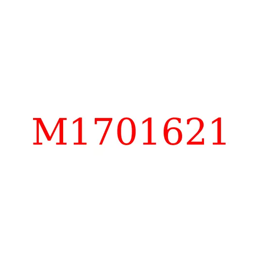 M1701621 Подшипник игольчатый шестерни заднего хода КПП LC6T540B JAC N80/N90, M1701621
