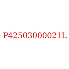 P42503000021L