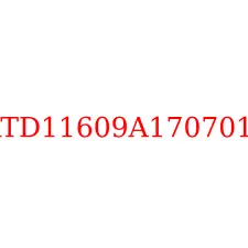 RTD11609A1707016