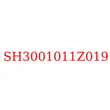 SH3001011Z019