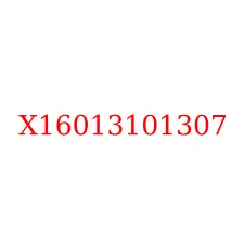 X16013101307