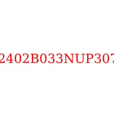 2402B033NUP307