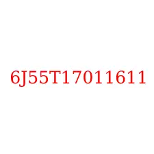 6J55T17011611