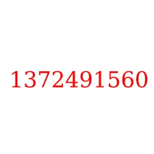 1372491560