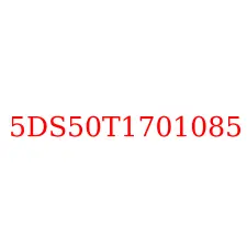 5DS50T1701085