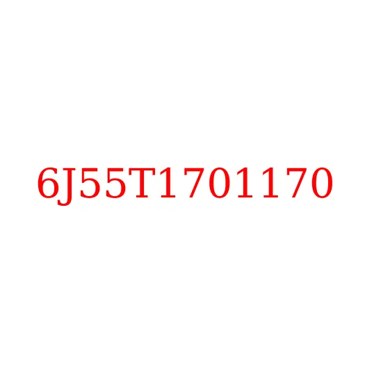 6J55T1701170 Гайка хвостовика КПП JAC N120 LE35S, 6J55T1701170