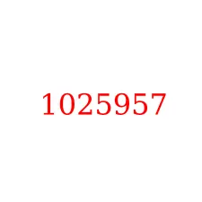 1025957