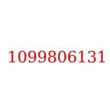 1099806131