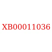 XB00011036