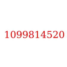 1099814520