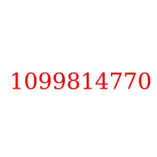 1099814770