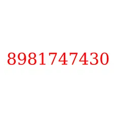 8981747430