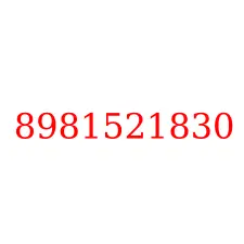 8981521830