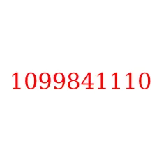 1099841110