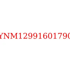 YNM12991601790