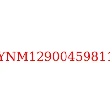 YNM12900459811