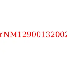 YNM12900132002