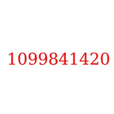 1099841420