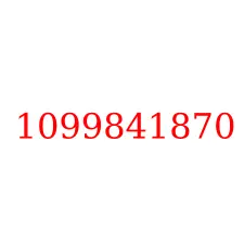 1099841870
