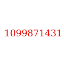 1099871431