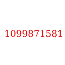 1099871581