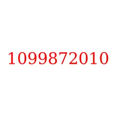 1099872010