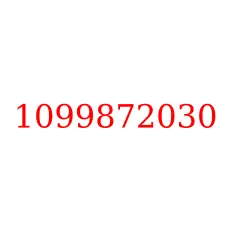 1099872030